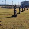 Corrective Services dogs trained to keep North Queensland prisons safe