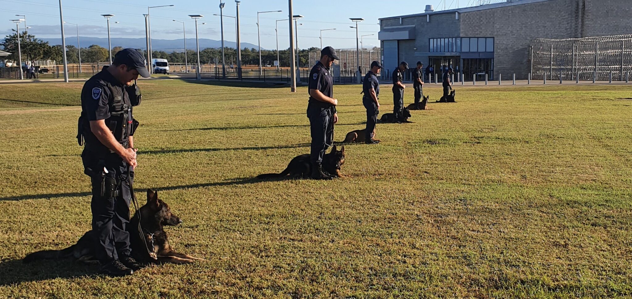 Corrective Services dogs trained to keep North Queensland prisons safe