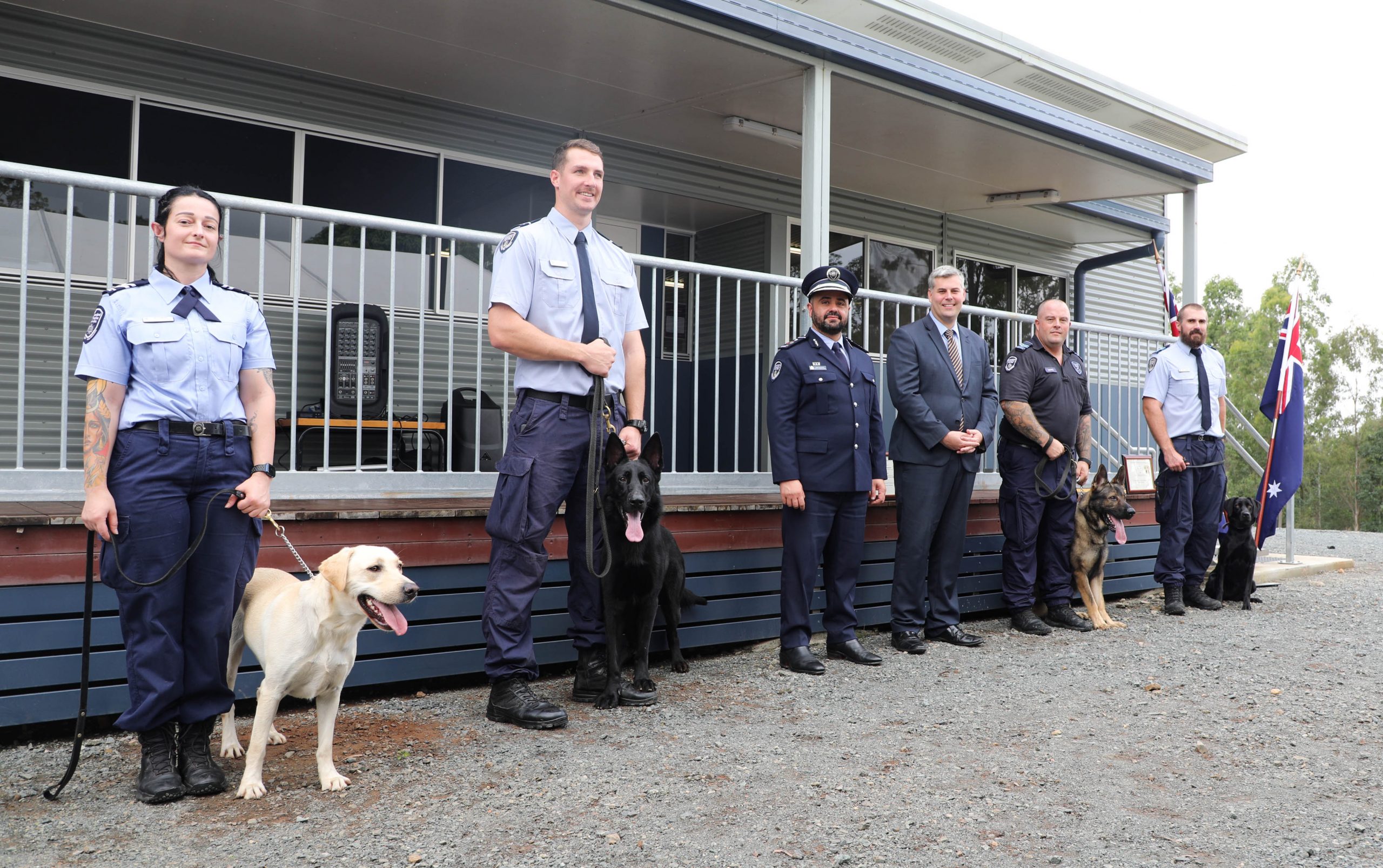 Two Labrador PADD dogs and two German Shepherd General Duties dogs with their handlers at the graduation