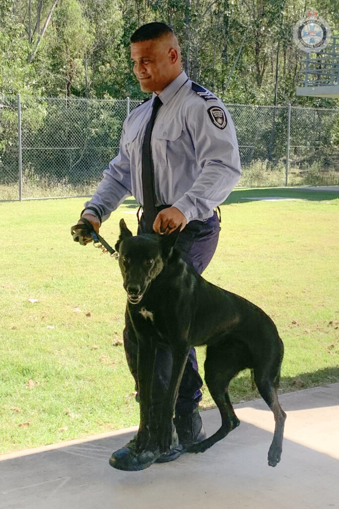 Dogsquadgrad media 04