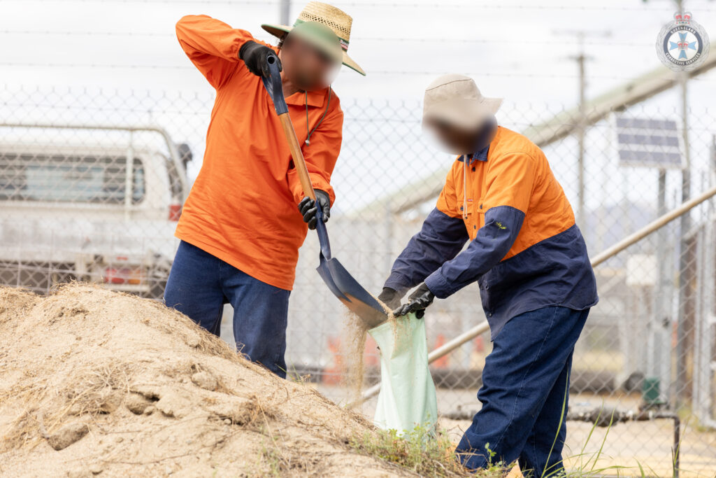 Tcc ses sandbagging 01