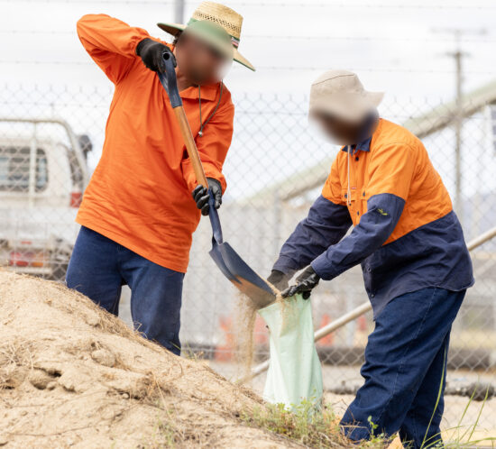 Tcc ses sandbagging 01