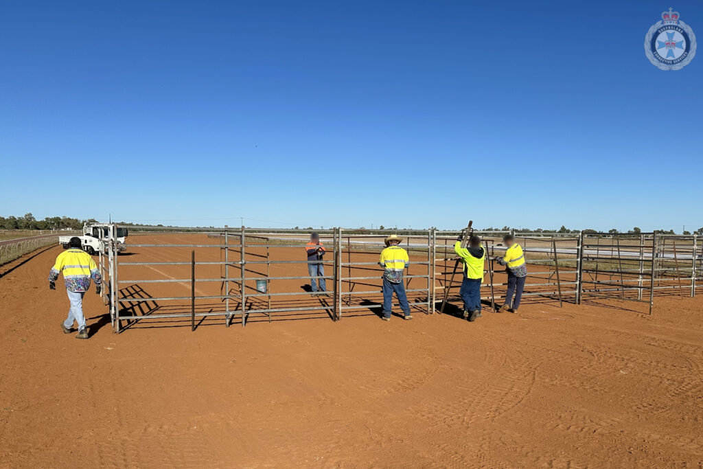 20260715 Boulia Camel Races